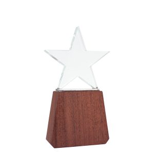 Trofeo de Madera y Cristal "Lonely Star"